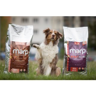 Testpaket Neukunden Hundefutter Getreidefrei 1x Pro Haushalt-Bow Wow Snack Gratis dazu  ca.470g- 6x Proben Marp+ Flyer