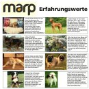 Testpaket Neukunden Hundefutter Getreidefrei 1x Pro Haushalt-  ca.470g- 6x Proben Marp+ Flyer